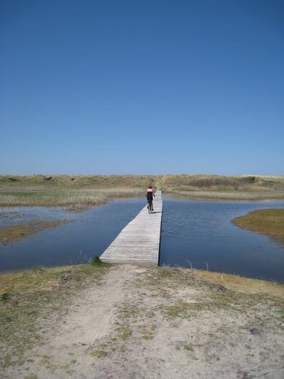 volop fietsmogelijkheden